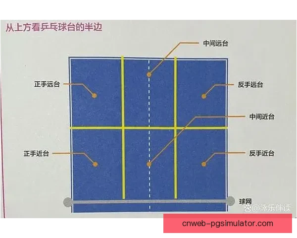 乒乓球技巧精要：提高发球、接发、短球、侧旋等关键技术