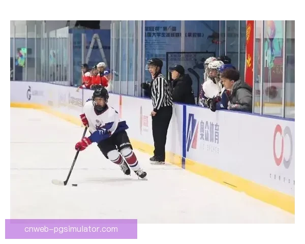 全新季冰球联赛开启：巅峰对决誓夺冠