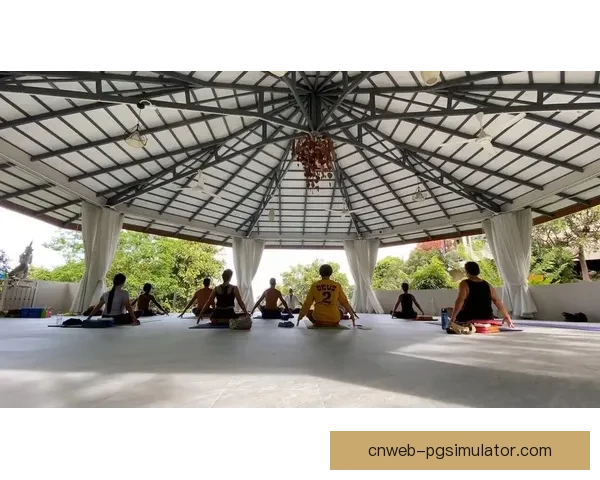 全球瑜伽锦标赛：静心冥想，强身健体，释放身心灵的力量