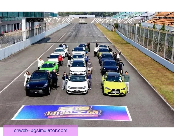 全面解读赛车技术，打造赛道飞驰教学视频