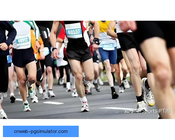 全面解析马拉松训练：科学计划、技巧建议、常见问题一网打尽