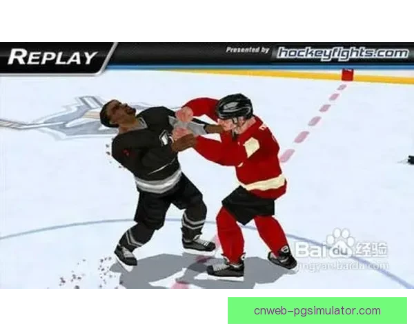 冰球对战策略解析及技巧分享 冰球对战策略解析及技巧分享