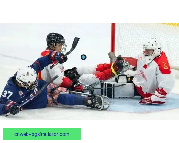冰球公开赛:冰场上的激情对决 冰球公开赛:冰场上的激情对决