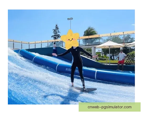 学会冲浪：精选教学视频带你畅享海浪乐趣