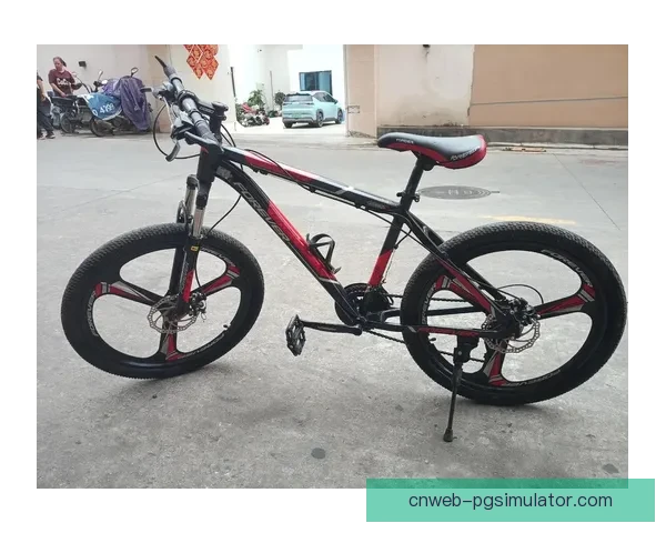 学习山地车骑行技巧及装备选择指南