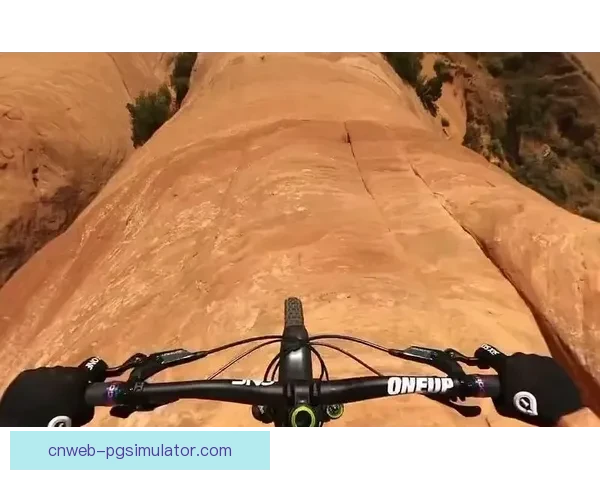 山地车世界纪录：速度飙升挑战极限