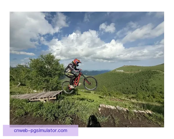 山地车赛事：挑战极限，飞驰在山野间