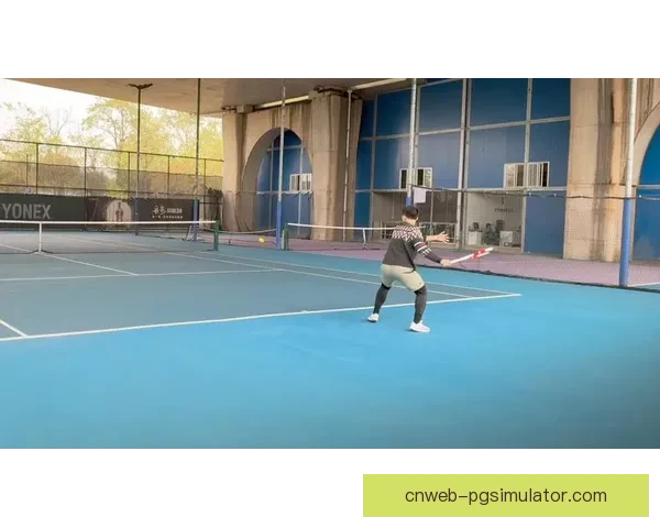 提高网球技巧：精进发球、回球、截击与战术的综合训练技巧