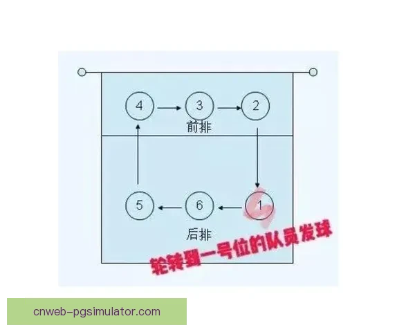 排球初学者的完全指南：从基本规则到技术要点