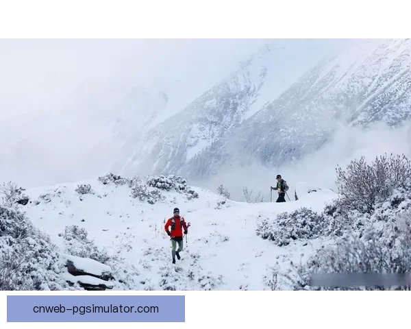 挑战极限！探寻世界越野跑纪录的背后秘密