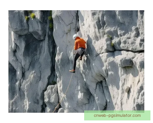 攀岩直播:挑战高空极限,挑战你的勇气和耐力 攀岩直播:挑战高空极限,挑战你的勇气和耐力