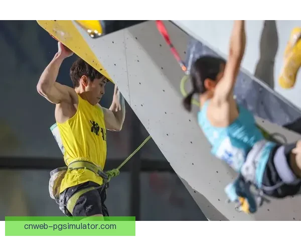 攀岩数据分析：探索攀岩运动中的趋势与规律