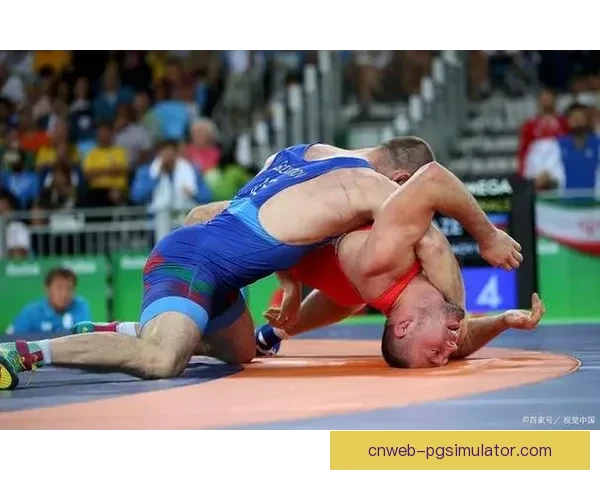 摔跤技巧全面解析，提升训练效果