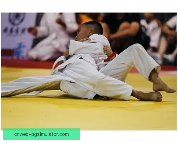 柔道公开赛:争锋相对,豪情四射 柔道公开赛:争锋相对,豪情四射