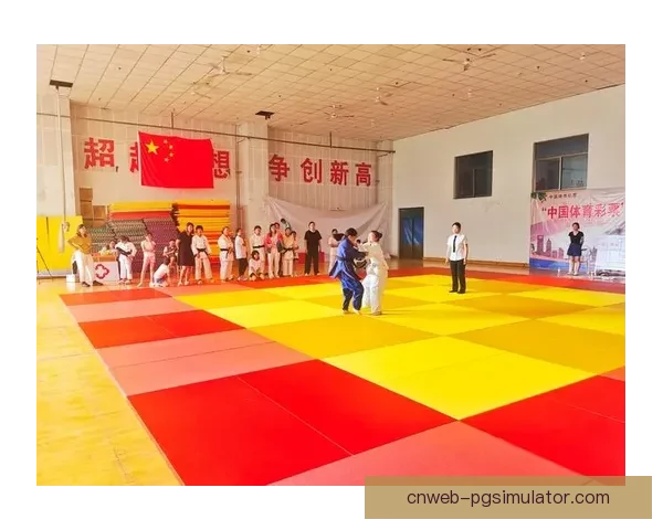 柔道杯赛掀起新风潮，精彩角逐令人振奋