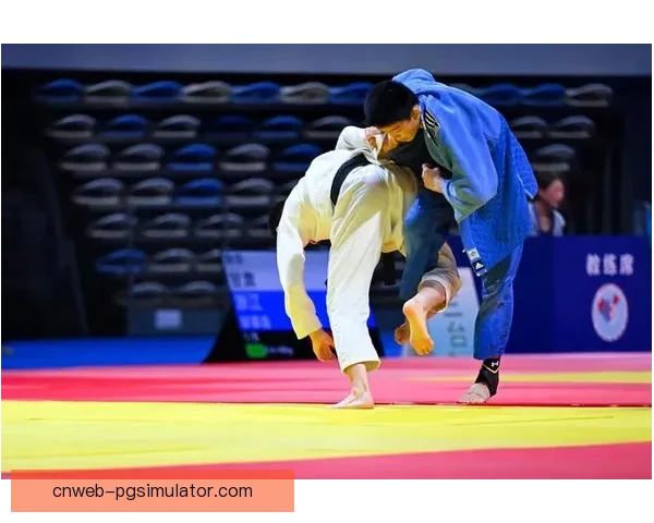 柔道锦标赛：磨砺身心，展现技艺