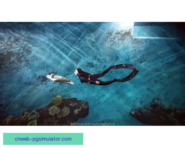 深潜冠军：闪耀水下的辉煌舞者