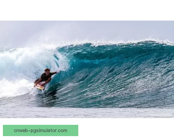 海浪激荡，激情绽放：冲浪赛事精彩回放