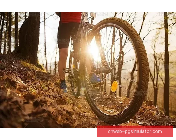 穿越山野，狂欢骑行：全新缤纷山地车联赛