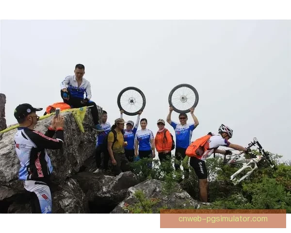 自行车数据分析：骑行行为洞察与城市交通优化