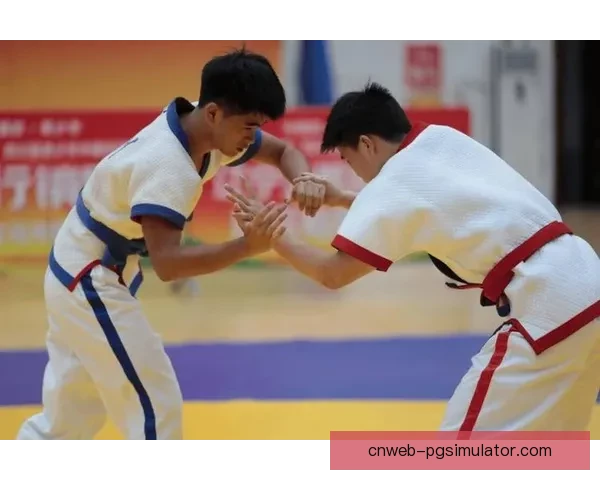 精彩摔跤大赛引爆体育热情