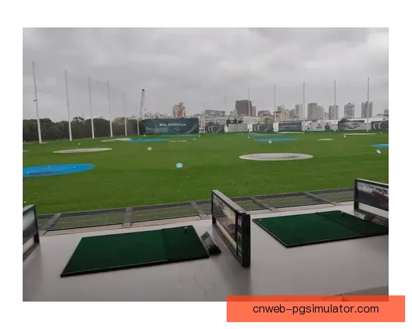 高尔夫对战策略与技巧解析